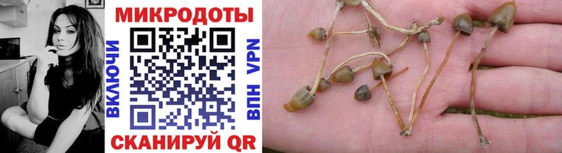 Галлюциногенные грибы Magic Shrooms  Новоаннинский 
